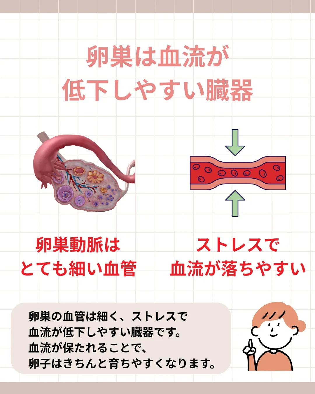 卵子は約180日かけて成長します。