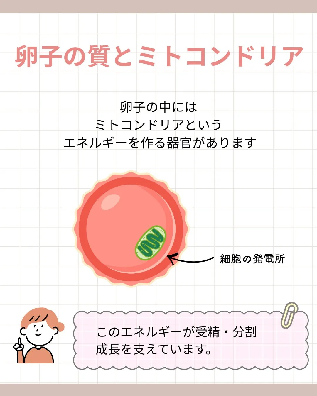 妊活で大切なのは