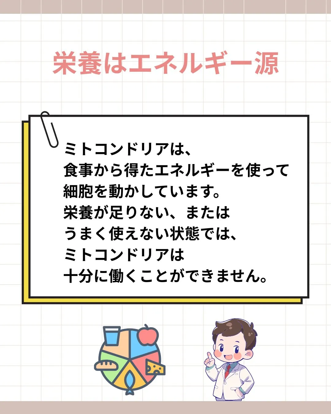 妊活で大切なのは