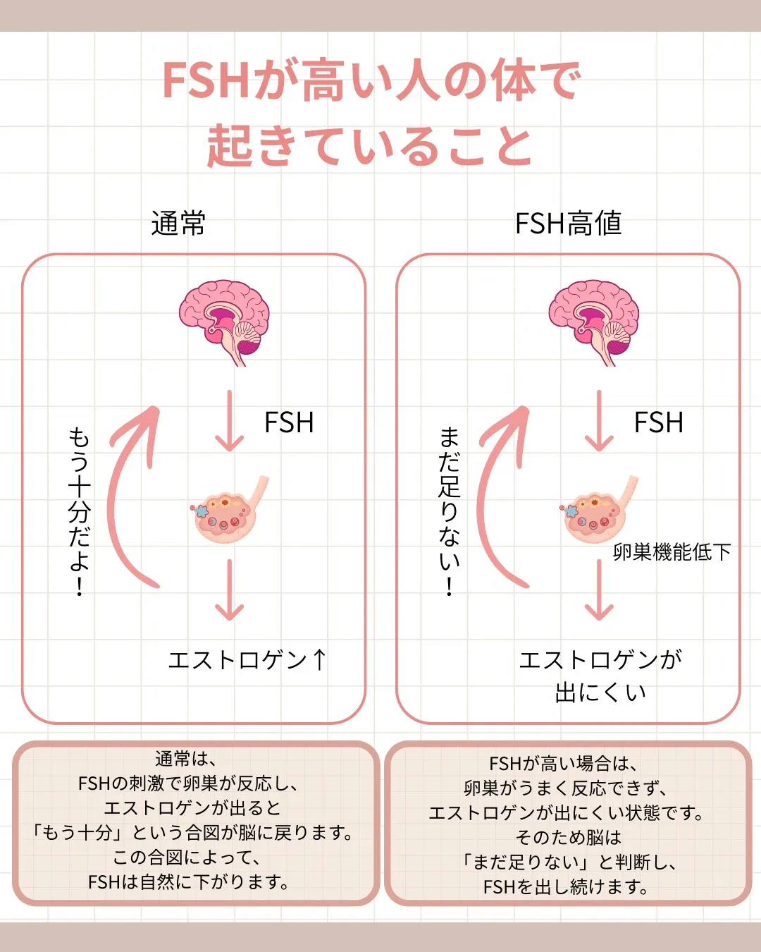 FSHが高いと言われたとき、