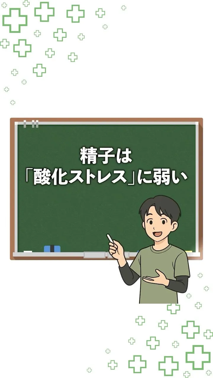 精子は、酸化ストレスの影響を受けやすいと言われています。